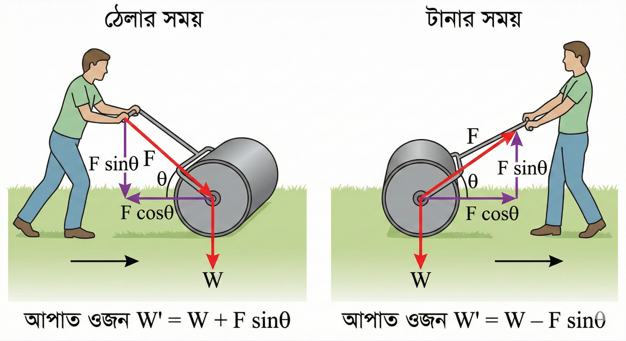 হৃদচক্রের ডায়াগ্রাম