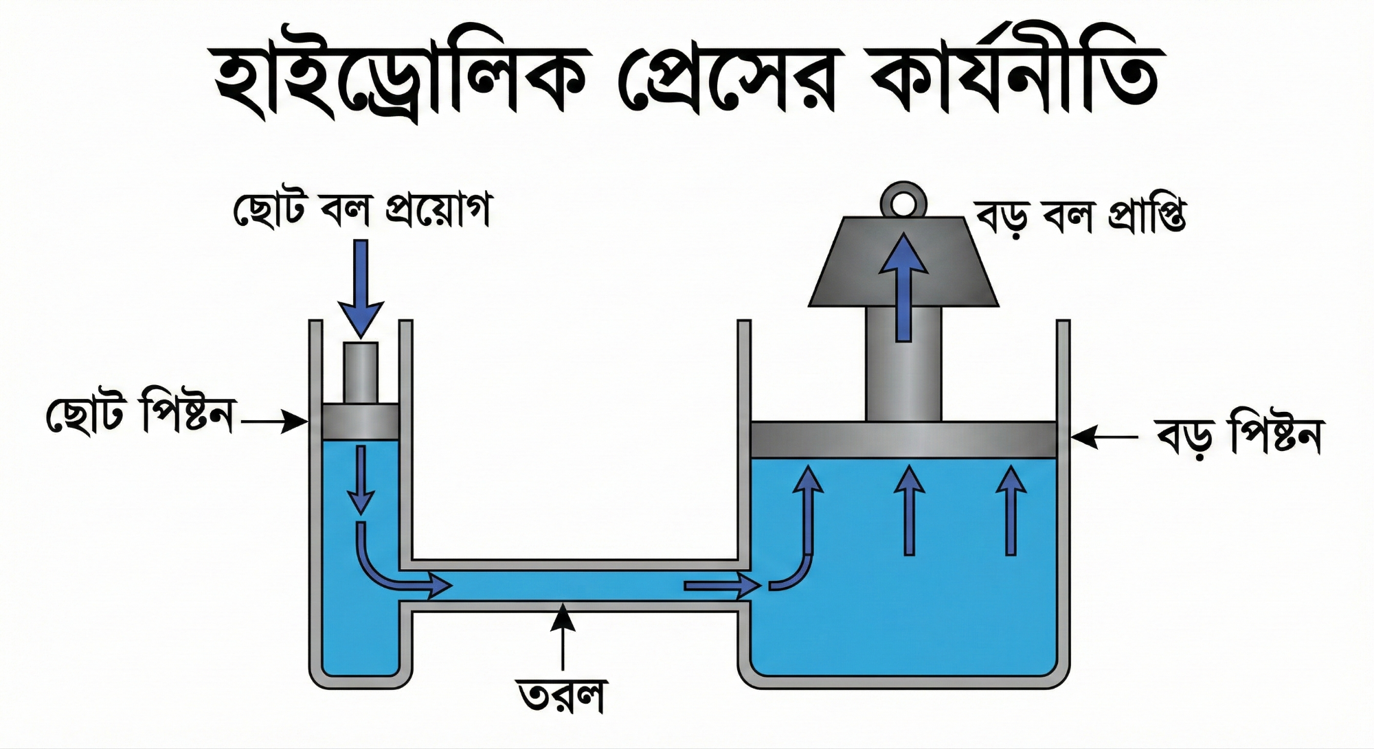 হৃদচক্রের ডায়াগ্রাম